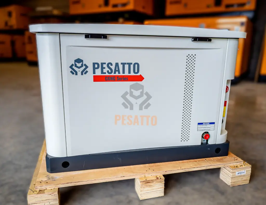 PESATTO G6NG