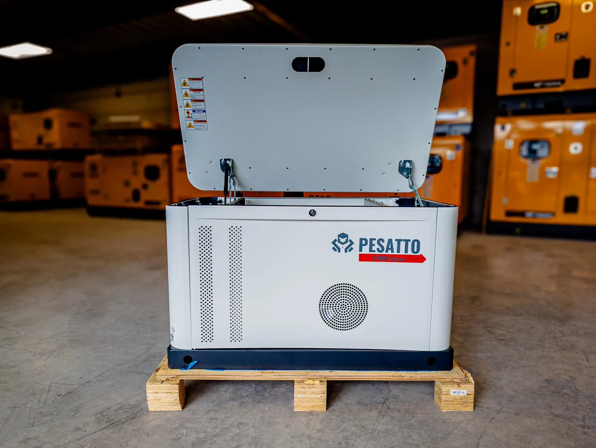 PESATTO G10NG